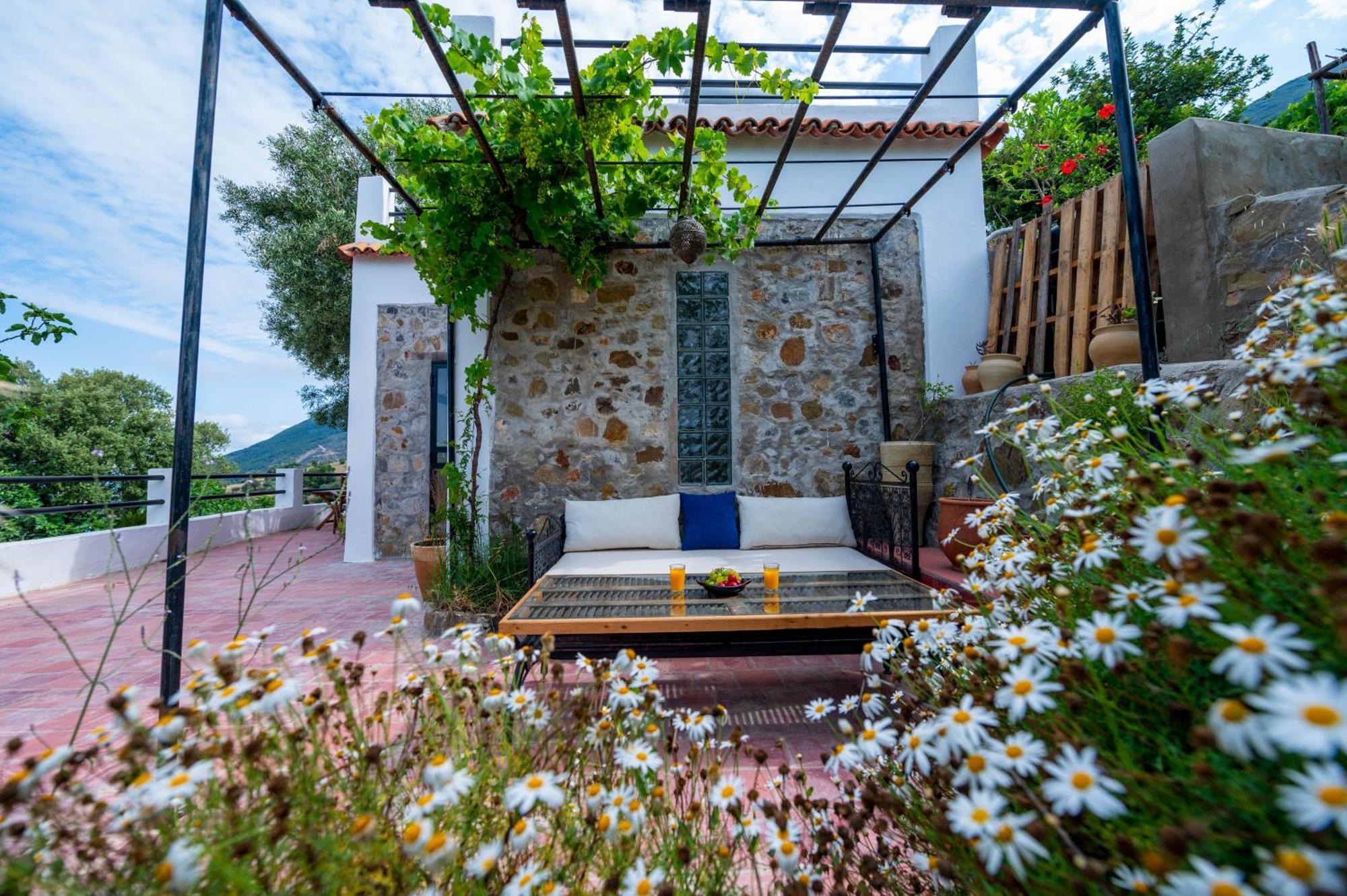 Farm Finn Chefchaouen Eksteriør billede